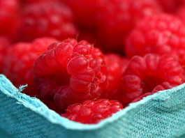 ten best carbohydrates