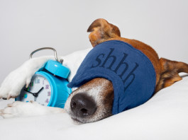 sleep problems