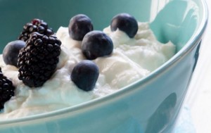 nonfat Greek Yogurt